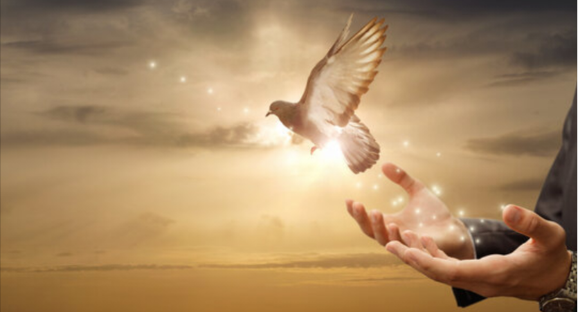 Deliverance Ministry 2 Online Deliverance Ministry
