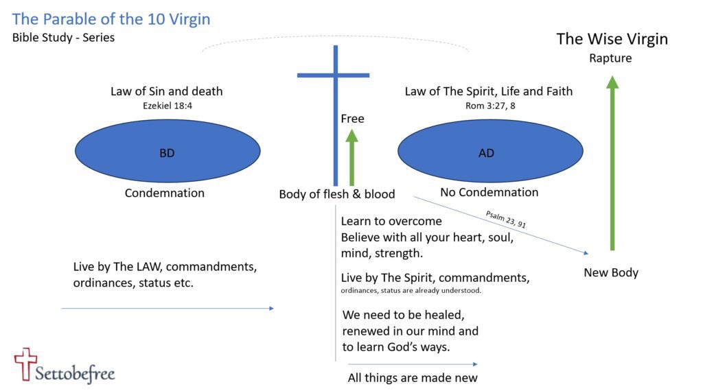 The Parable of the 10 virgin
