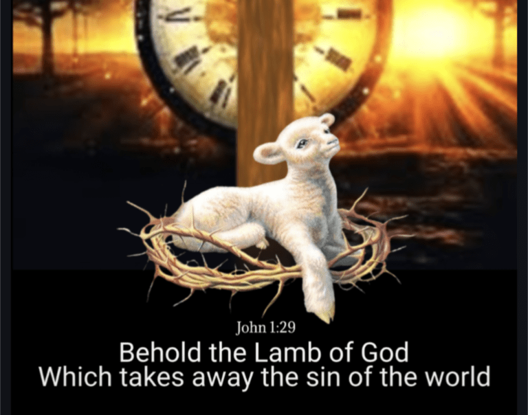 The Lamb Of God