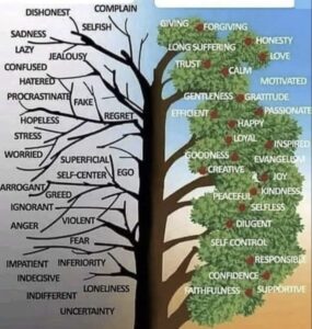 A Journey Between Two Paths